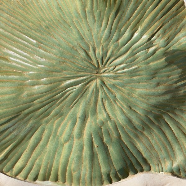 Jenny Catherall Art ceramics