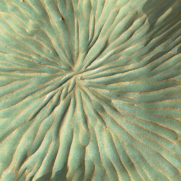 Jenny Catherall Art ceramics